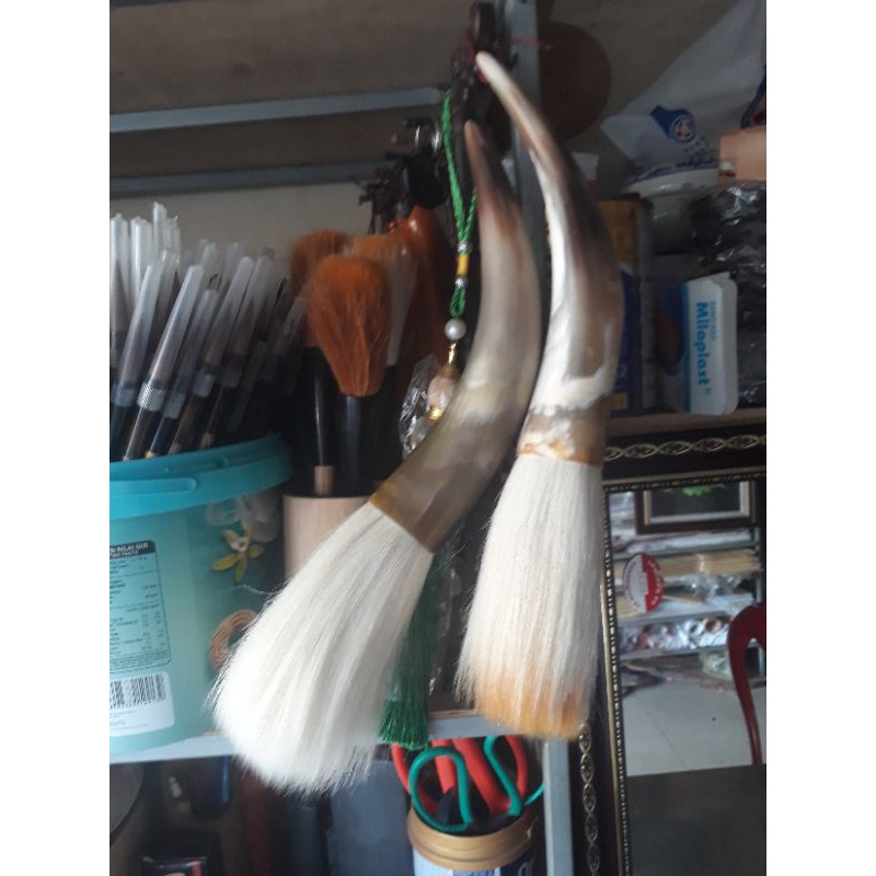 Bút đại cở lớn